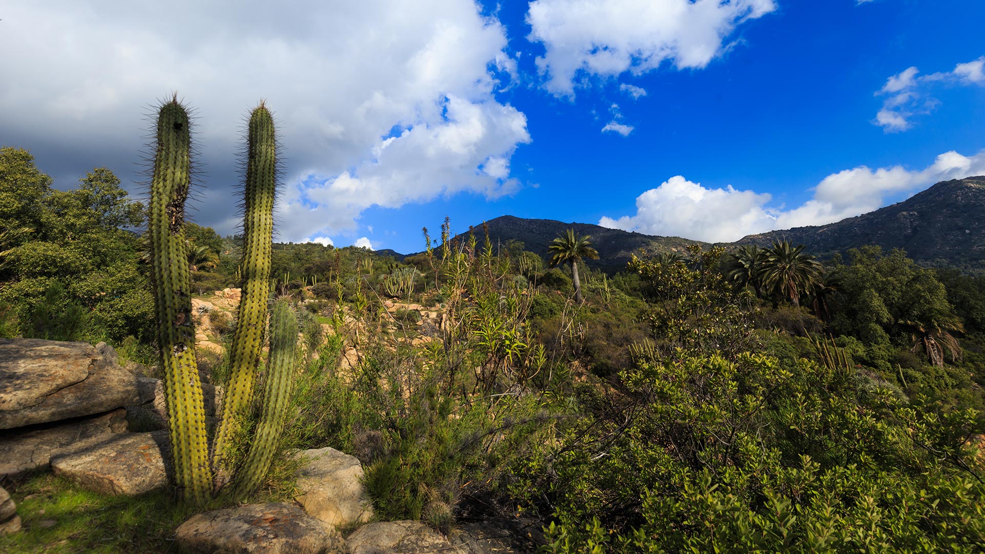 LA CAMPANA NATIONAL PARK LA CAMPANA NATIONAL PARK
