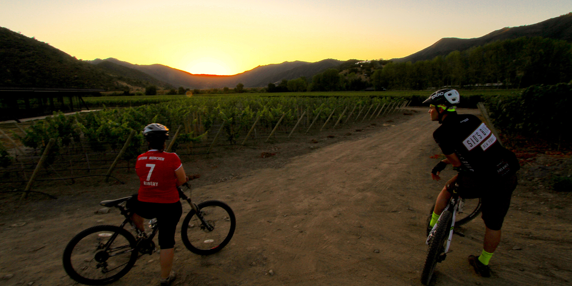 bike-wine-casablanca-chile-vineyard-valley-tour